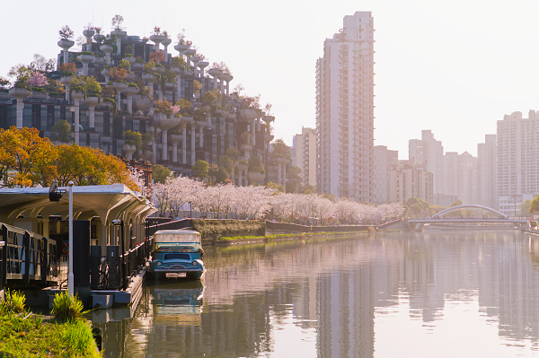 苏河樱花季3月27日浪漫启幕，水陆联动解锁春日新玩法
