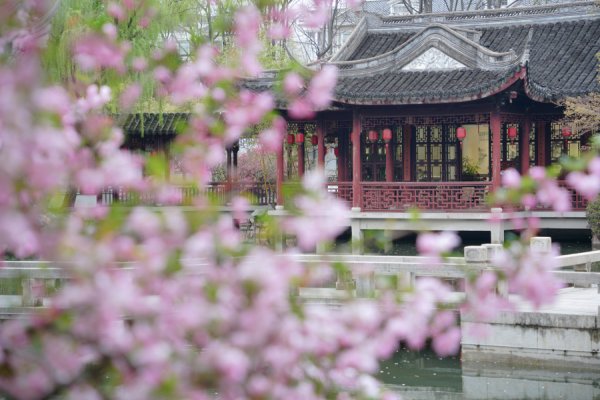 古猗园春季活动开启！赏花品非遗，穿传统服饰免票，F1票根享折扣