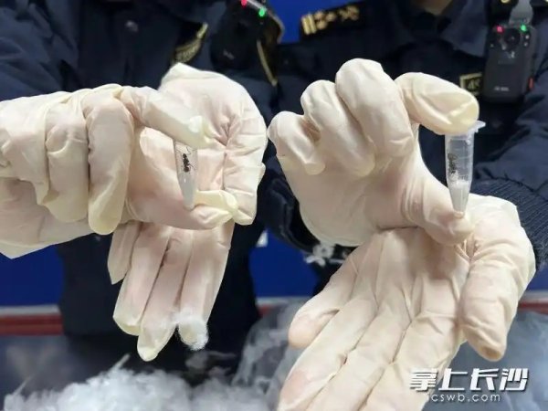 小课堂现场教你生物安全