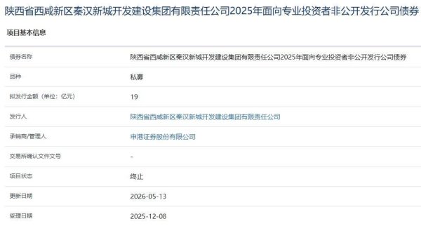 陕西一AA主体19亿元公司债终止审核