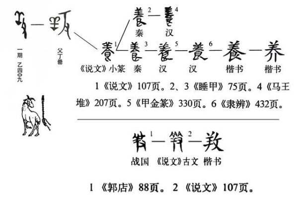 《说文解字》第1076课：细说“养”字，“养”为啥是“羊字头”？