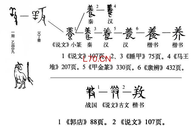 养的字形演变（下部为《说文解字》古文养）