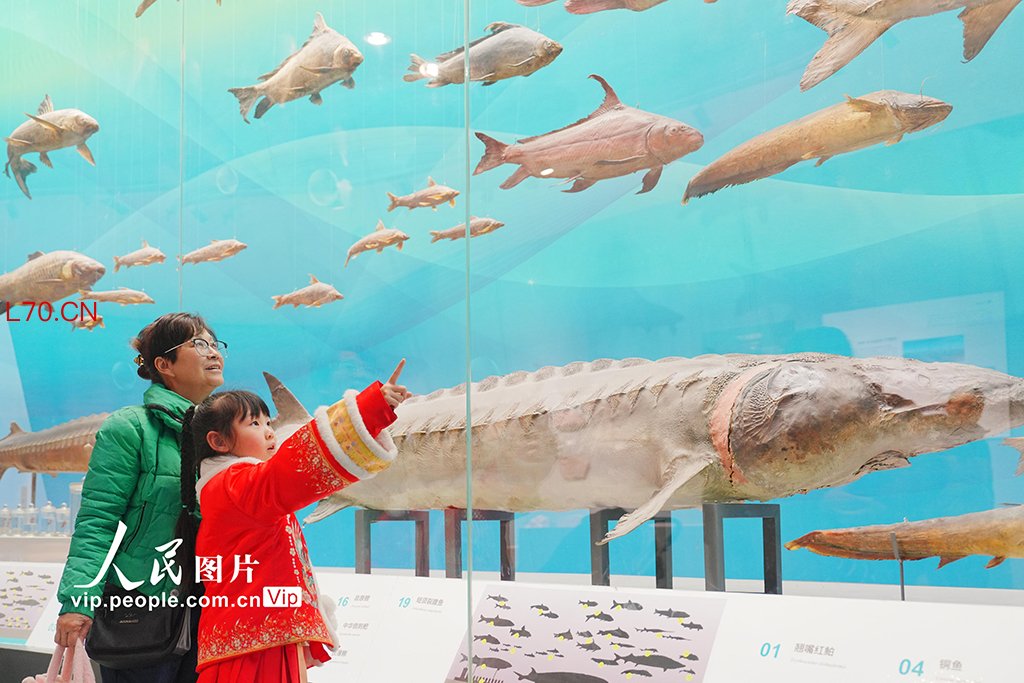 重庆：博物馆里度假期