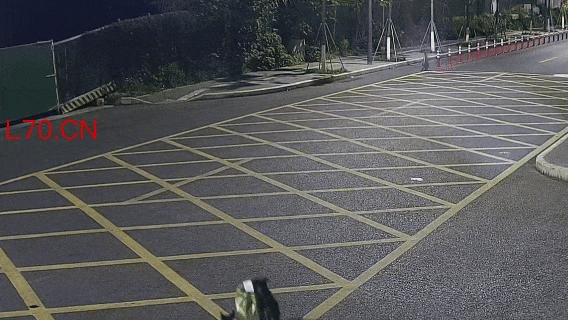 民警办完盗窃案发现外卖被狗偷走 加班遇“狗贼”
