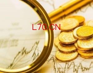 ST中装：申请撤销公司股票交易其他风险警示