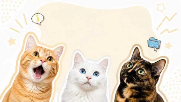 橘猫友好、白猫冷漠？猫咪的毛色真能决定性格吗？