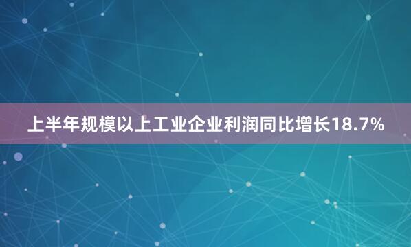 上半年规模以上工业企业利润同比增长18.7%