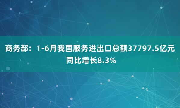 商务部：1-6月我国服务进出口总额37797.5亿元 同比增长8.3%