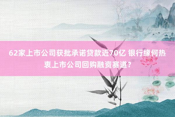 62家上市公司获批承诺贷款近70亿 银行缘何热衷上市公司回购融资赛道？