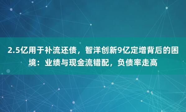 2.5亿用于补流还债，智洋创新9亿定增背后的困境：业绩与现金流错配，负债率走高
