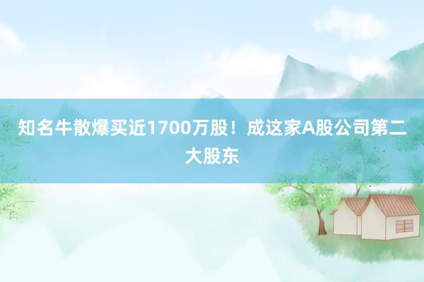 知名牛散爆买近1700万股！成这家A股公司第二大股东