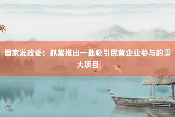 国家发改委:抓紧推出一批吸引民营企业参与的重大项目
