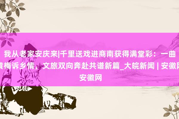 我从老家安庆来|千里送戏进商南获得满堂彩：一曲黄梅诉乡情，文旅双向奔赴共谱新篇_大皖新闻 | 安徽网