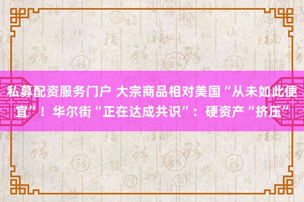 私募配资服务门户 大宗商品相对美国“从未如此便宜”！华尔街“正在达成共识”：硬资产“挤压”