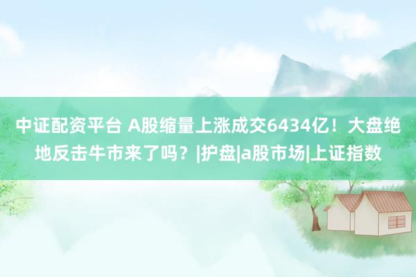 中证配资平台 A股缩量上涨成交6434亿！大盘绝地反击牛市来了吗？|护盘|a股市场|上证指数