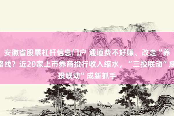 安徽省股票杠杆信息门户 通道费不好赚、改走“养成系”路线？近20家上市券商投行收入缩水，“三投联动”成新抓手