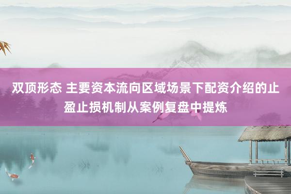 双顶形态 主要资本流向区域场景下配资介绍的止盈止损机制从案例复盘中提炼