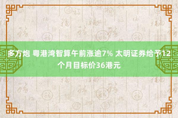 多方炮 粤港湾智算午前涨逾7% 太明证券给予12个月目标价36港元